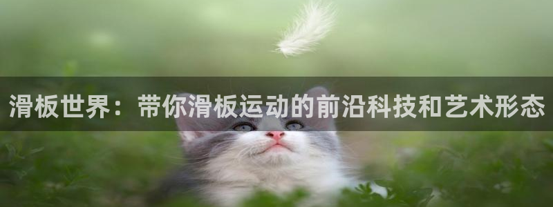 熊猫体育官网下载招商：滑板世界：带你滑板运动的前沿科技和艺术