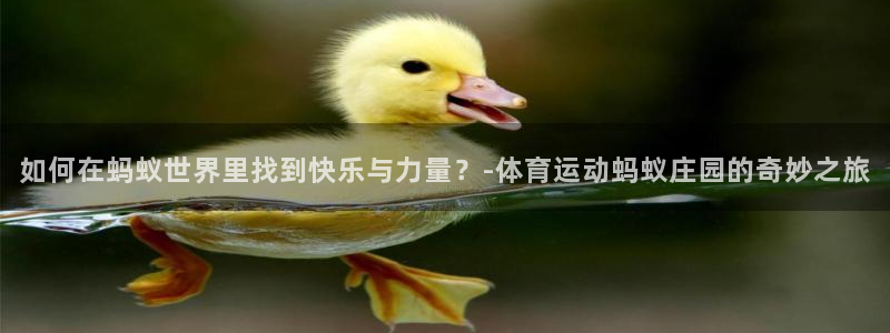 vsport体育在线官网：如何在蚂蚁世界里找到快乐与力量？-体育运动蚂蚁庄园的奇妙之旅