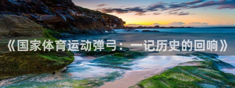 vsport体育：《国家体育运动弹弓：一记历史的回响》