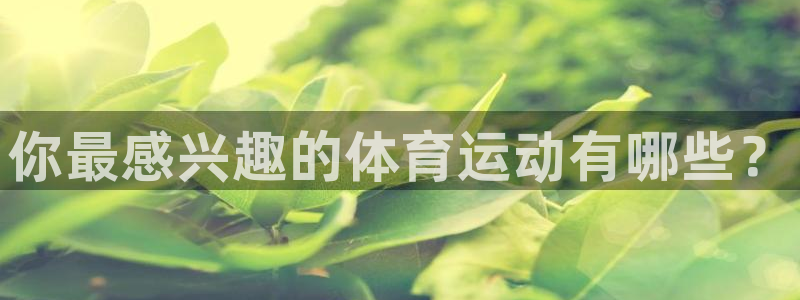 vsport体育在线官网