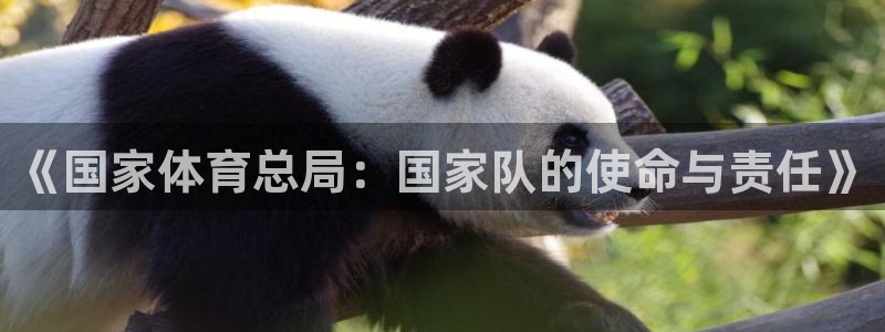 vsport体育：《国家体育总局：国家队的使命与责任》
