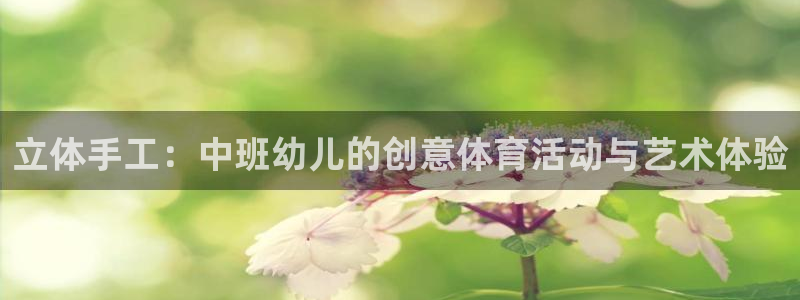 vsport体育在线官网：立体手工：中班幼儿的创意体育活动与艺术体验