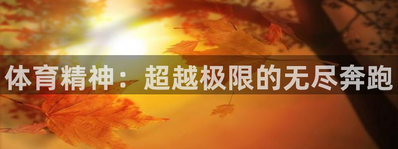 vsport体育在线官网：体育精神：超越极限的无尽奔跑