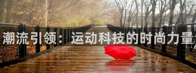 vsport体育在线官网