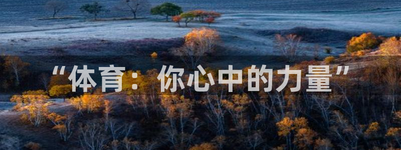 vsport体育在线官网