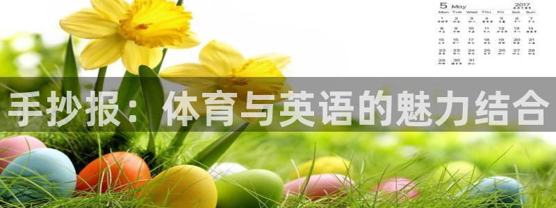 vsport体育在线官网