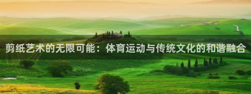vsport体育在线官网