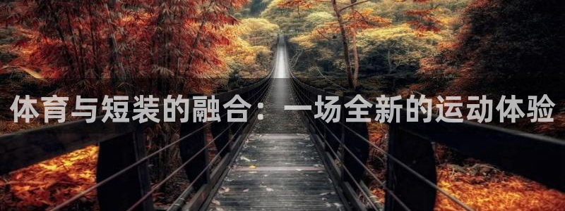 vsport体育：体育与短装的融合：一场全新的运动体验
