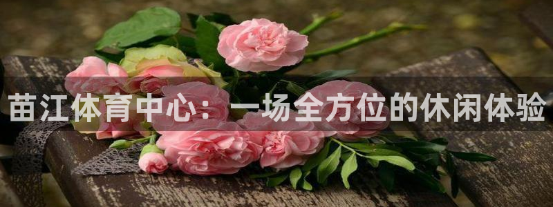 vsport体育：苗江体育中心：一场全方位的休闲体验