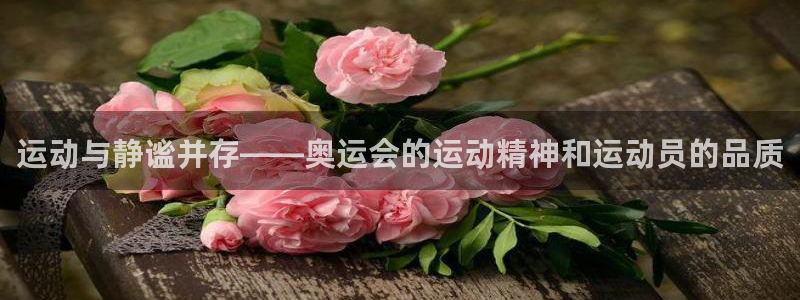 vsport体育在线官网：运动与静谧并存——奥运会的运动精神和运动员的品质