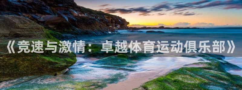 vsport体育：《竞速与激情：卓越体育运动俱乐部》