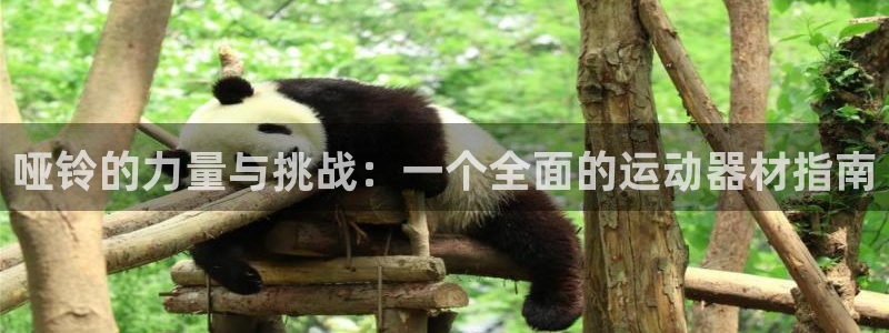 熊猫集团官网：哑铃的力量与挑战：一个全面的运动器材指南