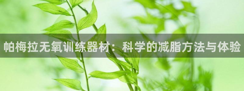 熊猫体育娱乐是那个系列的台子：帕梅拉无氧训练器材：科学的减脂