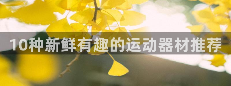 熊猫集团官网:10种新鲜有趣的运动器材推荐