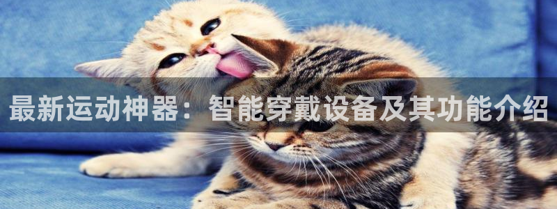 熊猫体育官网下载平台假的吗是真的吗吗：最新运动神器：