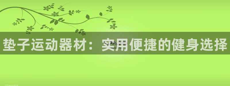 熊猫体育娱乐40996：垫子运动器材：实用便捷的健身